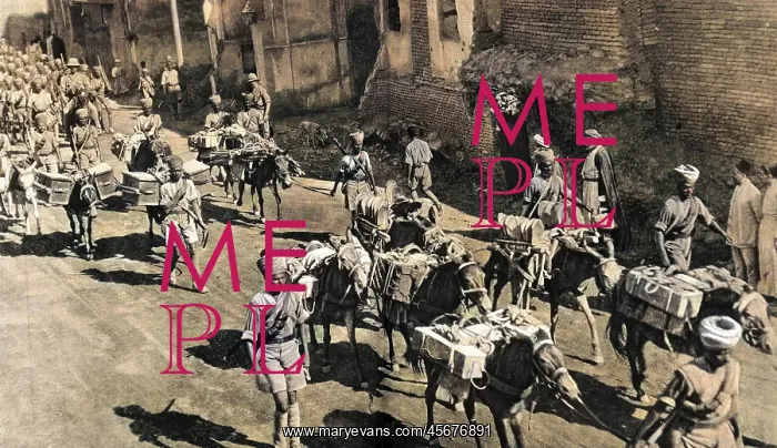 : An Anglo-Indian column in Baghdad during World War I : An Anglo-Indian column in Baghdad during World War I