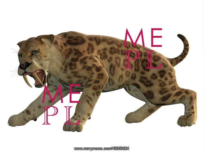: An angry saber-toothed tiger : An angry saber-toothed tiger
