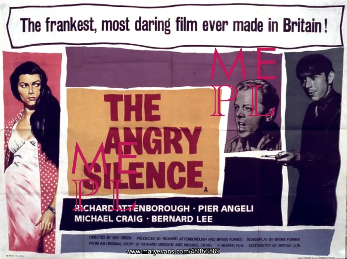 : THE ANGRY SILENCE : THE ANGRY SILENCE