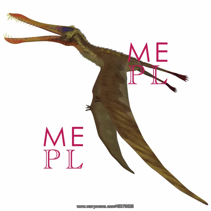 : Anhanguera dinosaur : Anhanguera dinosaur