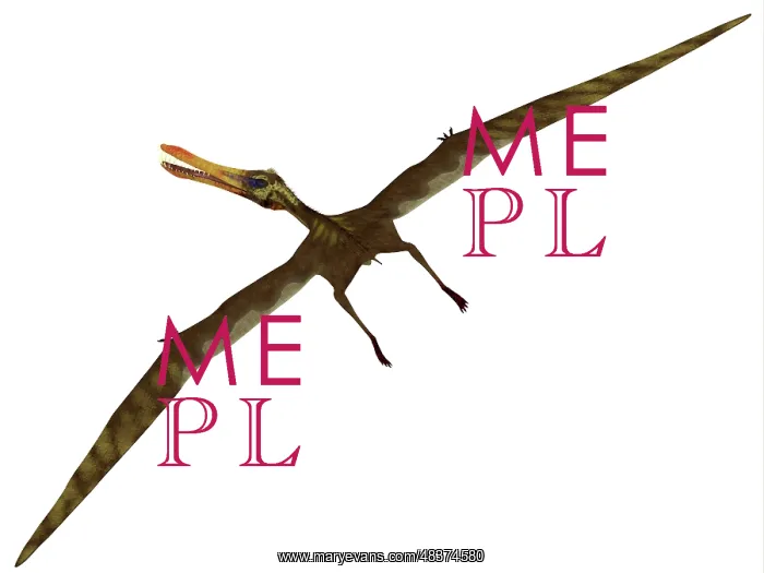 : Anhanguera was a fish-eating pterosaur from the Cretaceous ? : Anhanguera was a fish-eating pterosaur from the Cretaceous ?