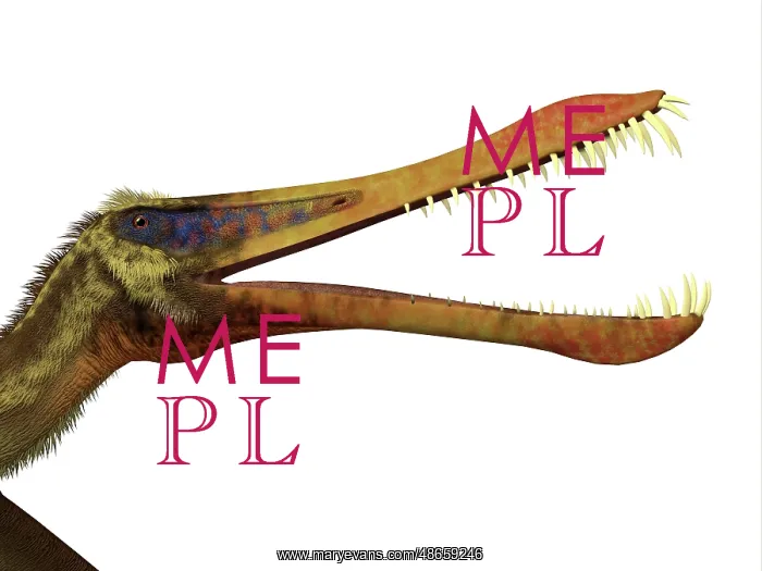 : Anhanguera headshot showing its sharp teeth : Anhanguera headshot showing its sharp teeth