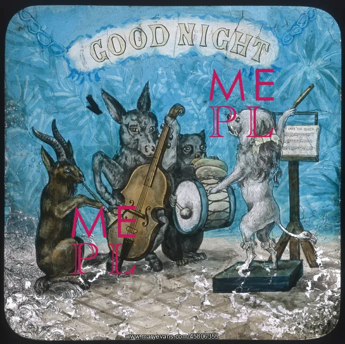 : Animal Band Good Night : Animal Band Good Night