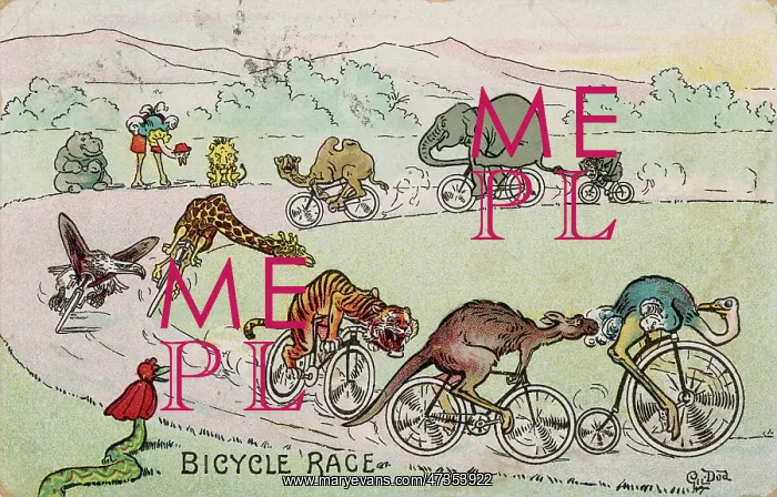 : ANIMAL BICYCLE RACE : ANIMAL BICYCLE RACE