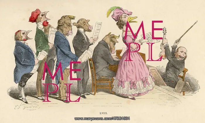  : ANIMAL CONCERT