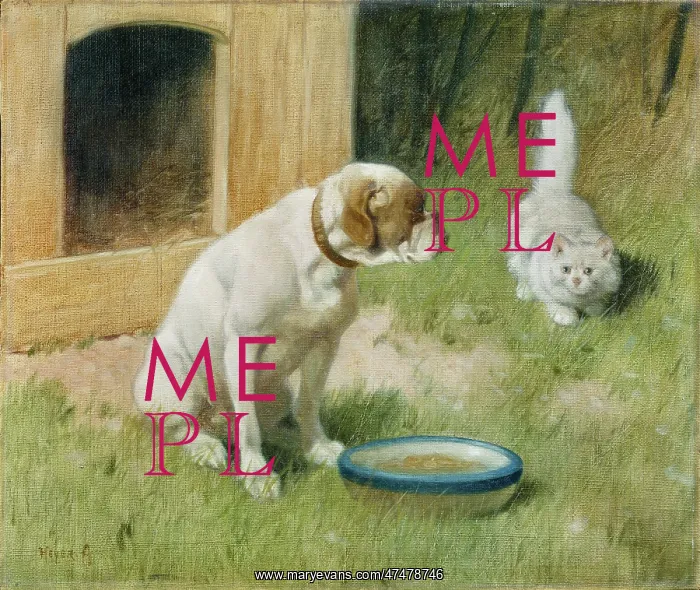 : Animal Friends ' cat looking at dog : Animal Friends ' cat looking at dog