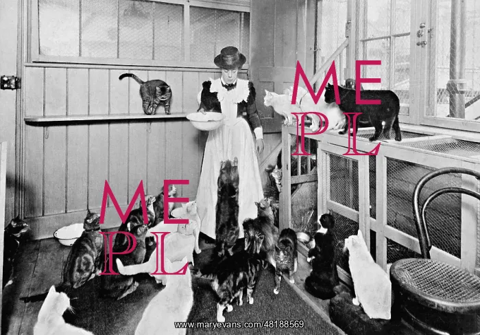 : Animal shelter, 1904 : Animal shelter, 1904