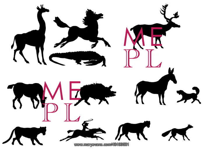 : Animal silhouettes : Animal silhouettes