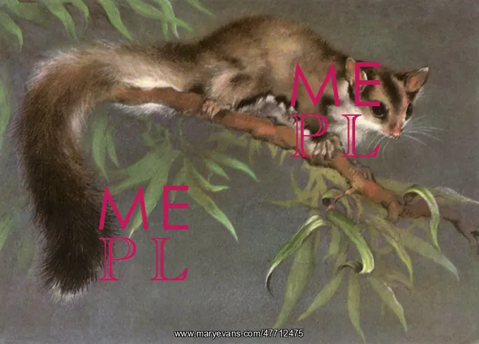  : Animal in Tree