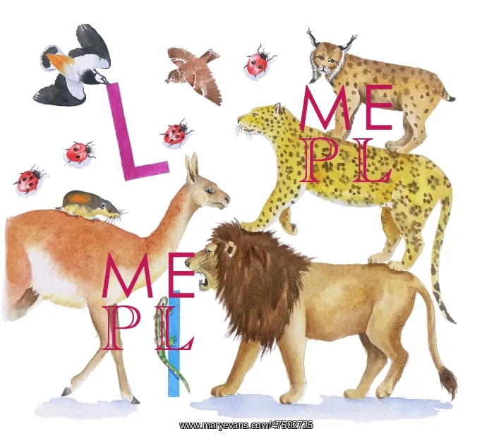  : Animals All Around by Lindy Norton