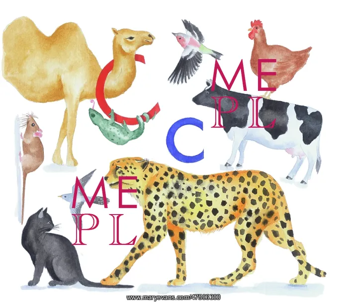  : Animals All Around by Lindy Norton