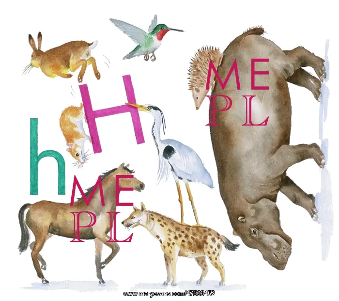 : Animals All Around by Lindy Norton