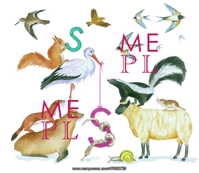  : Animals All Around by Lindy Norton