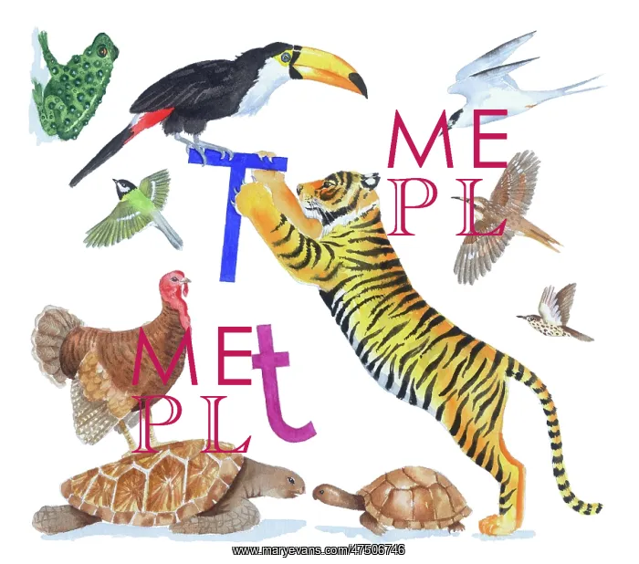  : Animals All Around by Lindy Norton