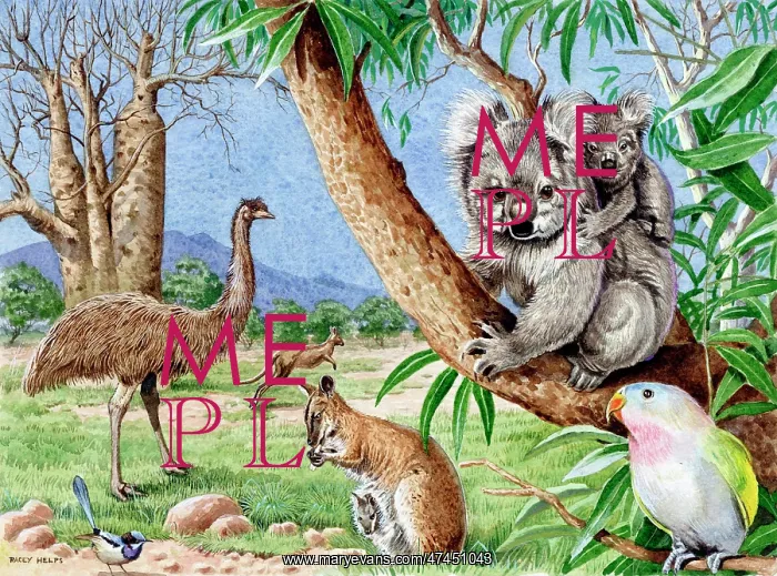  : Animals of Australia