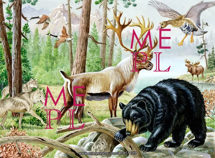  : Animals of Canada
