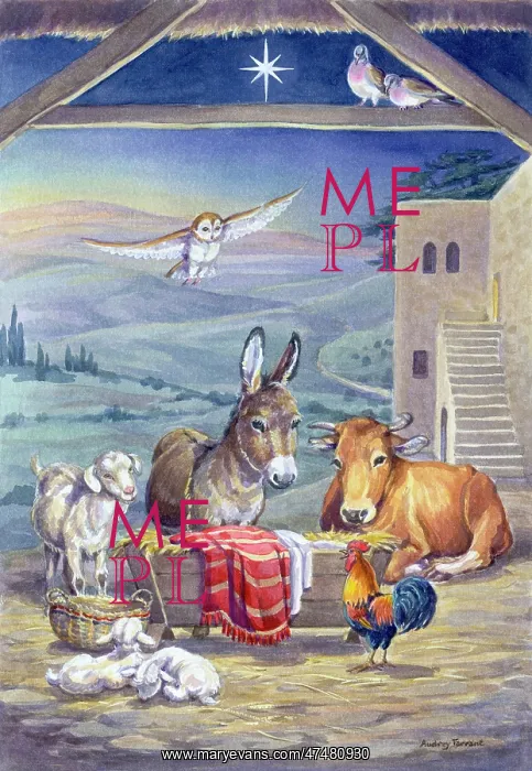 : Animals around the Crib ' donkey, ox, lambs etc : Animals around the Crib ' donkey, ox, lambs etc