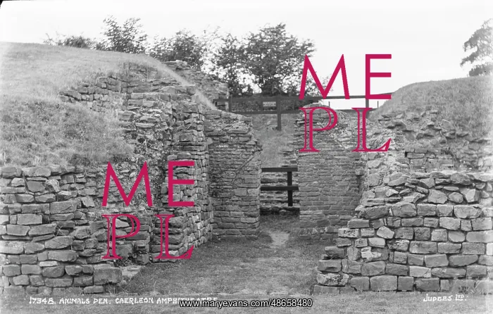 : Animals Den at Caerleon Amphitheatre : Animals Den at Caerleon Amphitheatre