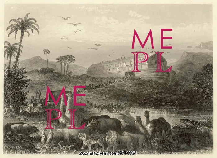 : Animals Enter the Ark : Animals Enter the Ark