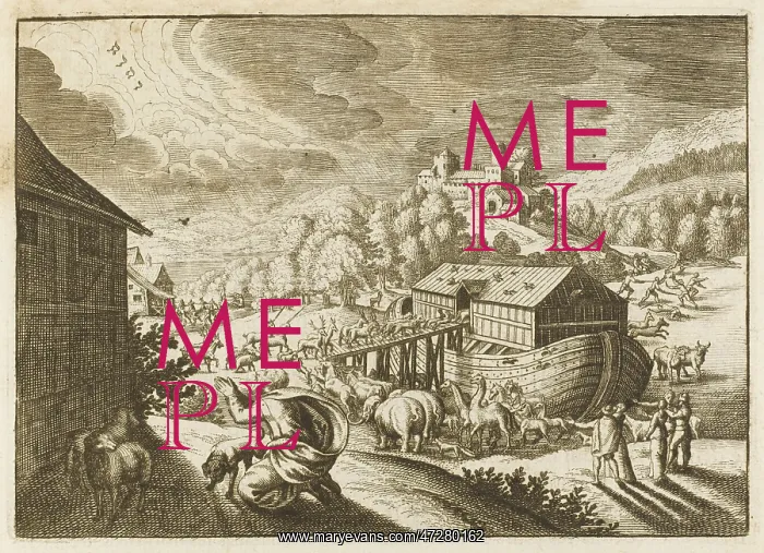  : ANIMALS ENTER THE ARK