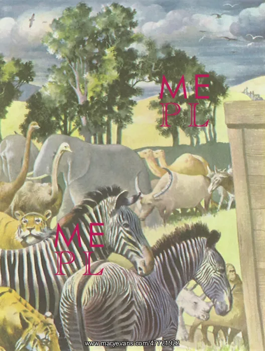  : Animals Enter Ark