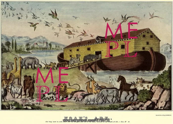  : Animals Entering Ark