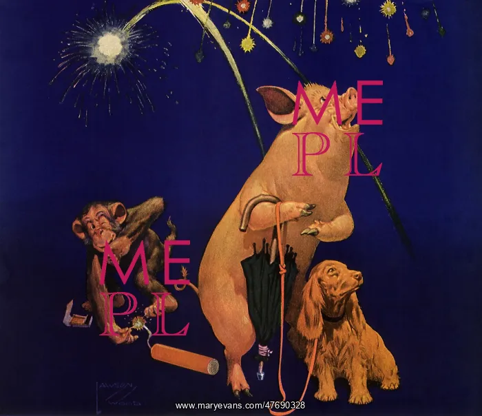  : Animals and Fireworks