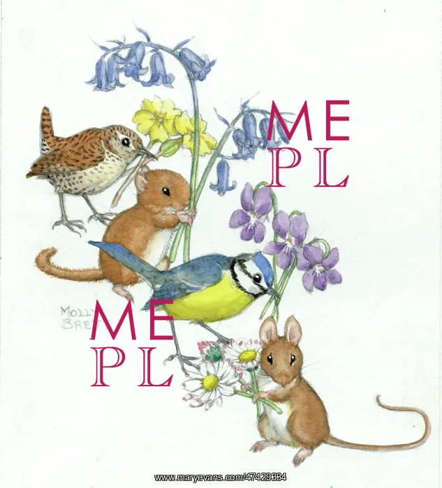 : Animals and flowers by Molly Brett : Animals and flowers by Molly Brett