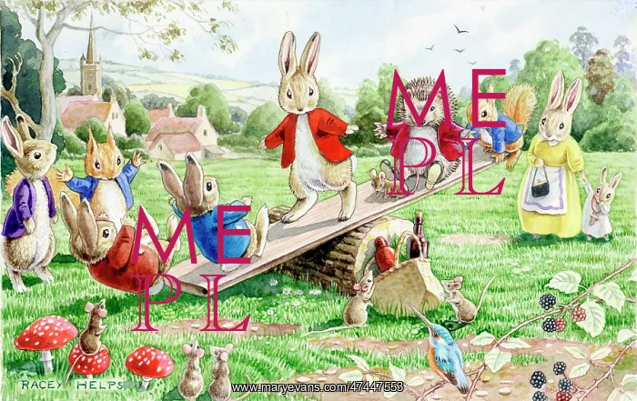 : Animals on a See-Saw : Animals on a See-Saw