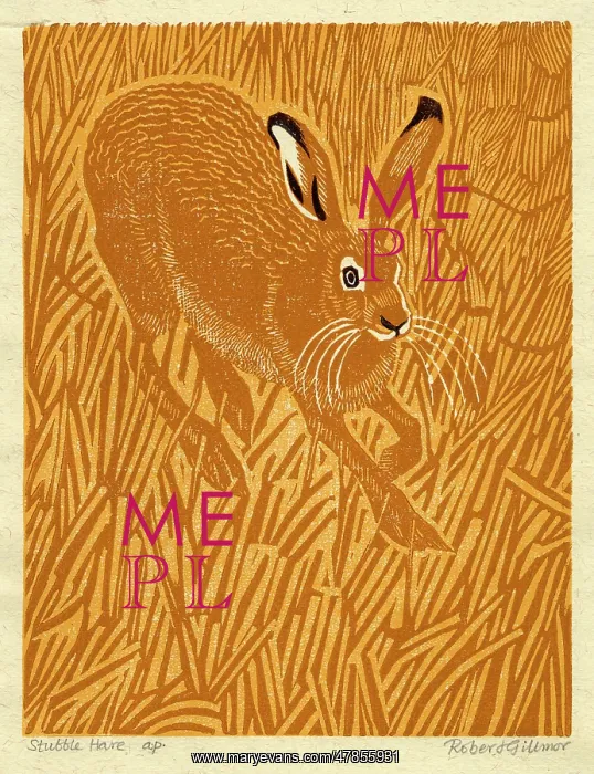 : ANIMALS / 'STUBBLE HARE : ANIMALS / 'STUBBLE HARE
