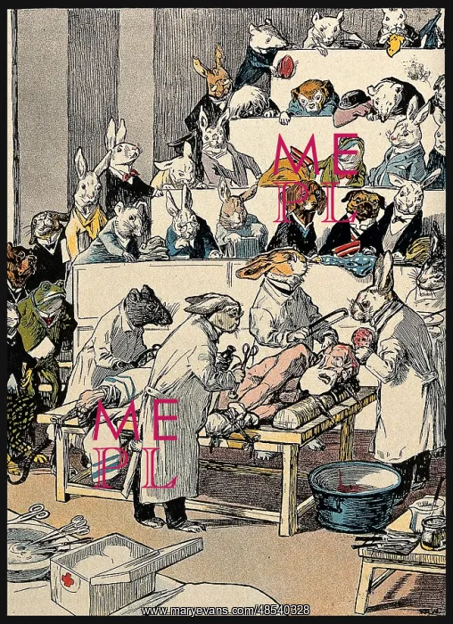 : Animals Vivisecting Human : Animals Vivisecting Human