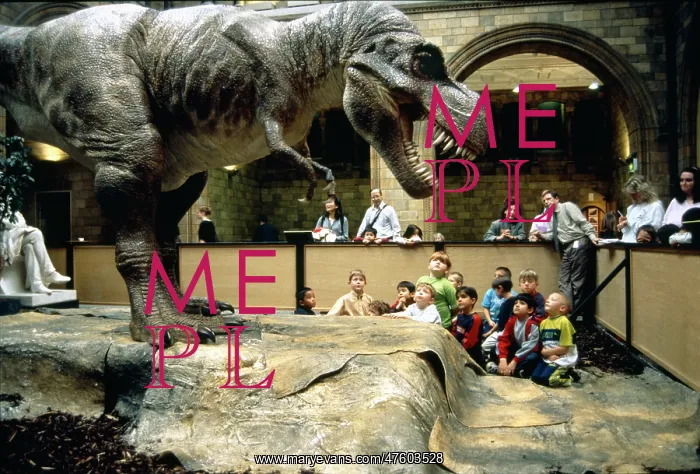 : Animated model of Tyrannosaurus rex : Animated model of Tyrannosaurus rex