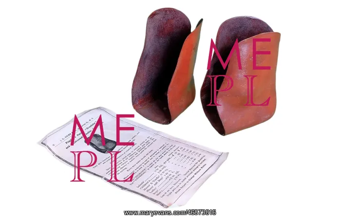 : Ankle Supporters with manual : Ankle Supporters with manual