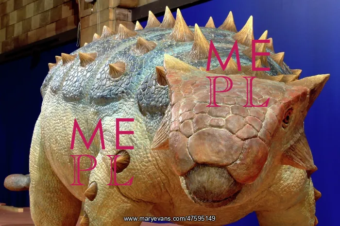 : Ankylosaurus : Ankylosaurus