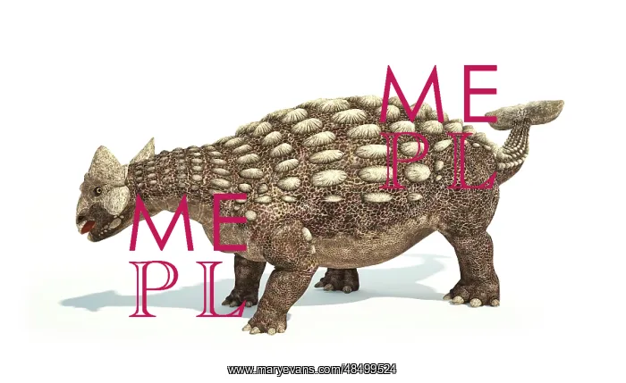 : Ankylosaurus dinosaur on white background : Ankylosaurus dinosaur on white background