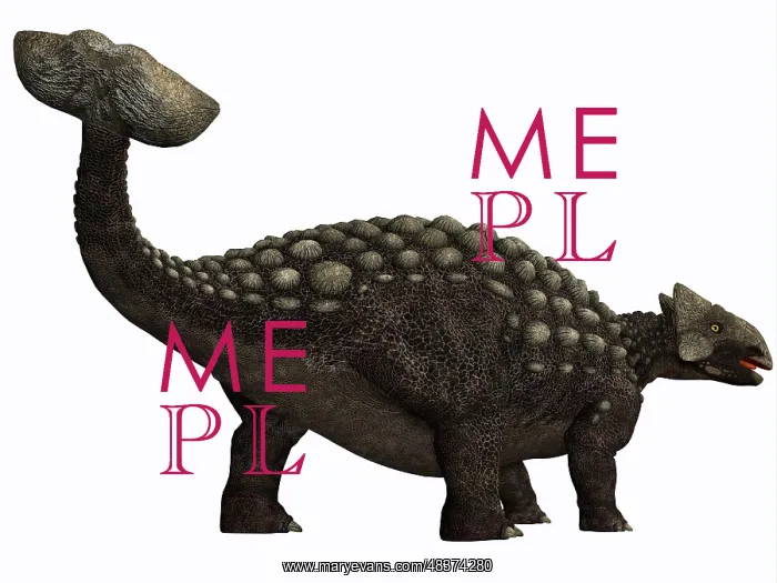 : Ankylosaurus, a heavily armored dinosaur from the ? : Ankylosaurus, a heavily armored dinosaur from the ?