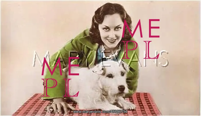 : ANN DVORAK / DOG : ANN DVORAK / DOG