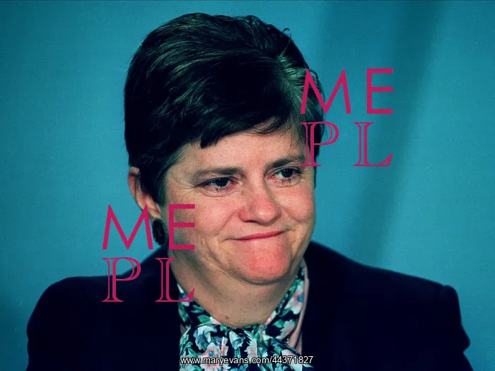  : Ann Widdecombe MP