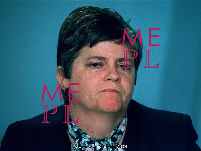 : Ann Widdecombe MP