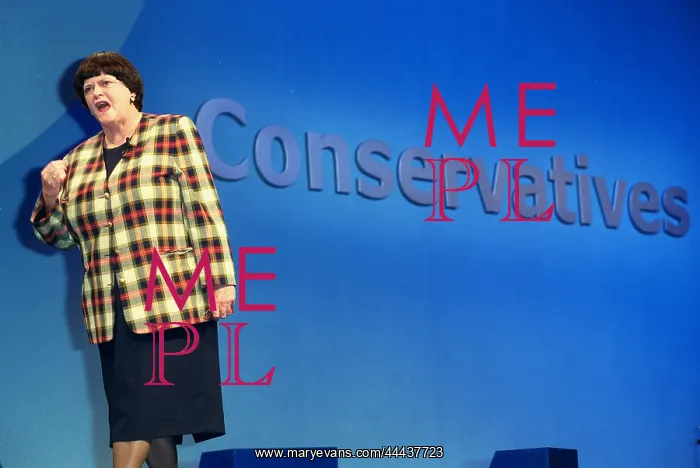 : Ann Widdecombe MP : Ann Widdecombe MP