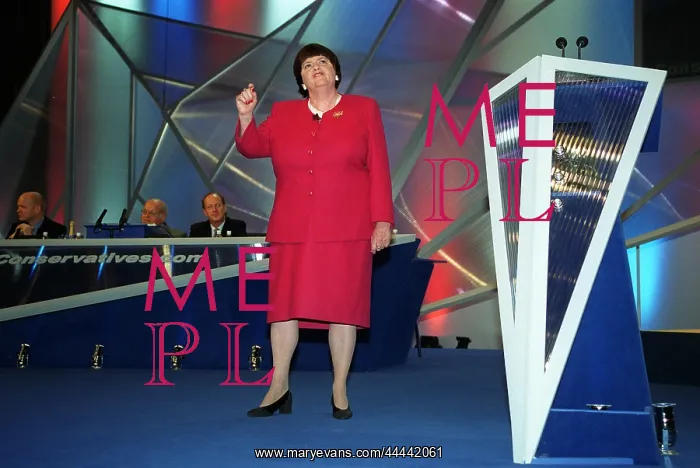 : Ann Widdecombe MP : Ann Widdecombe MP