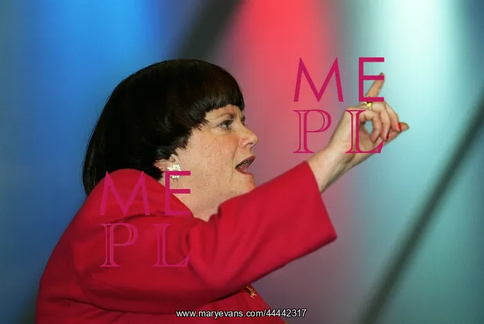 : Ann Widdecombe MP : Ann Widdecombe MP