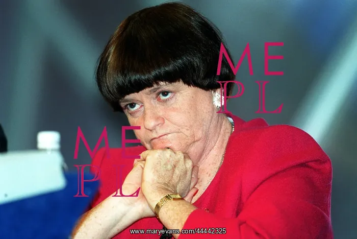 : Ann Widdecombe MP : Ann Widdecombe MP