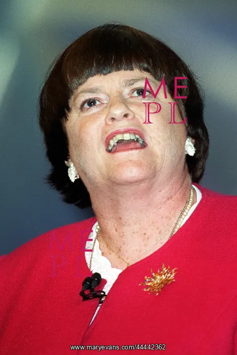 : Ann Widdecombe MP : Ann Widdecombe MP