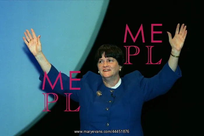  : Ann Widdecombe MP