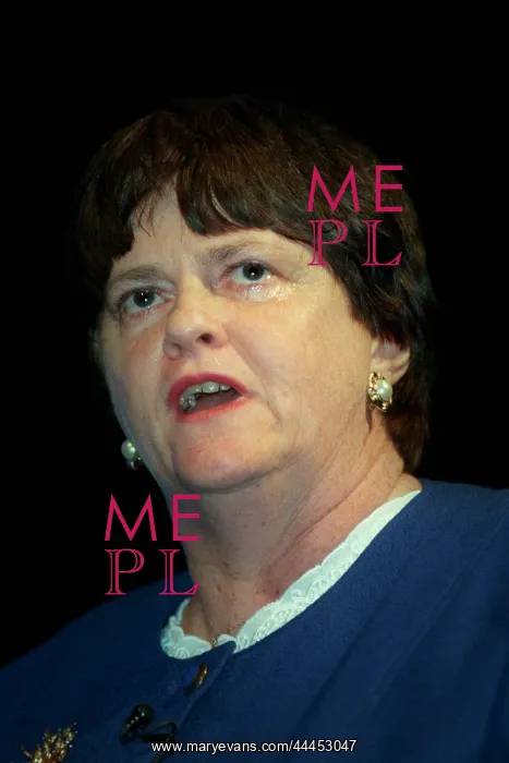  : Ann Widdecombe MP