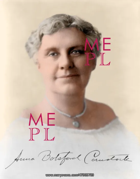 : Anna Comstock, American Artist and Educator : Anna Comstock, American Artist and Educator