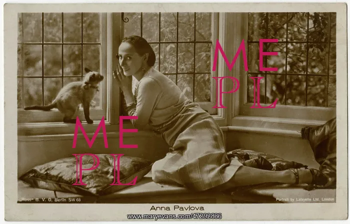: Anna Pavlova at home with her cat : Anna Pavlova at home with her cat