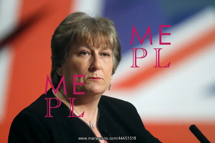 : Annabel Goldie MSP : Annabel Goldie MSP