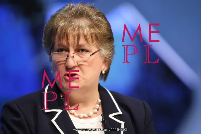 : Annabel Goldie MSP : Annabel Goldie MSP